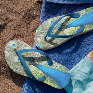 Chanclas Hermosas plumas de pavo real azul