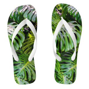 Chanclas Hojas de Monstera, Jardines Limahuli, Kauai, Hawai
