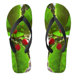 Chanclas Holly Leaves II Naturaleza de las vacaciones Botán