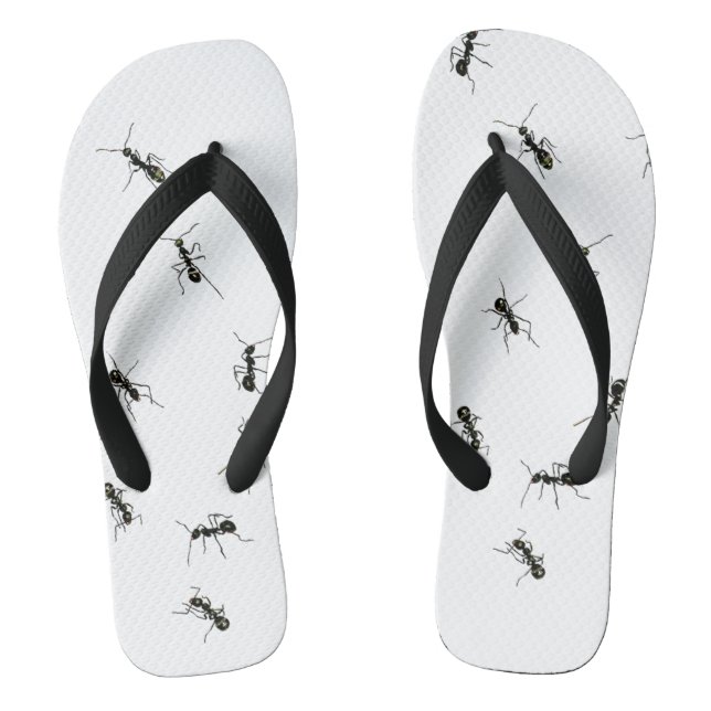 Chanclas Hormigas (Plantilla)