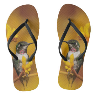 Chanclas Hummingbird Flip Flops