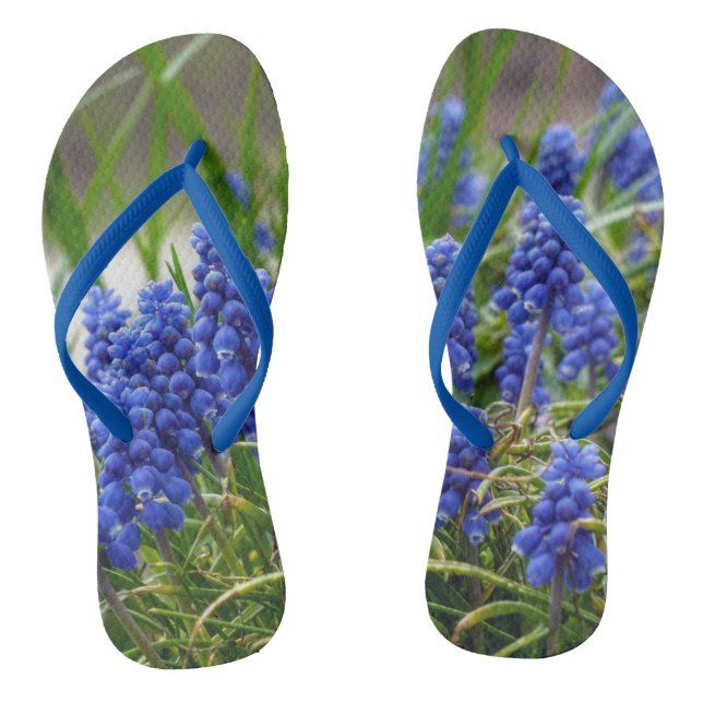 Chanclas Hyacinth de uva (Plantilla)