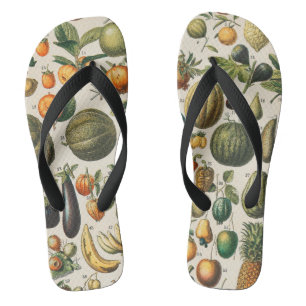Chanclas Ilustracion científico botánico de frutas
