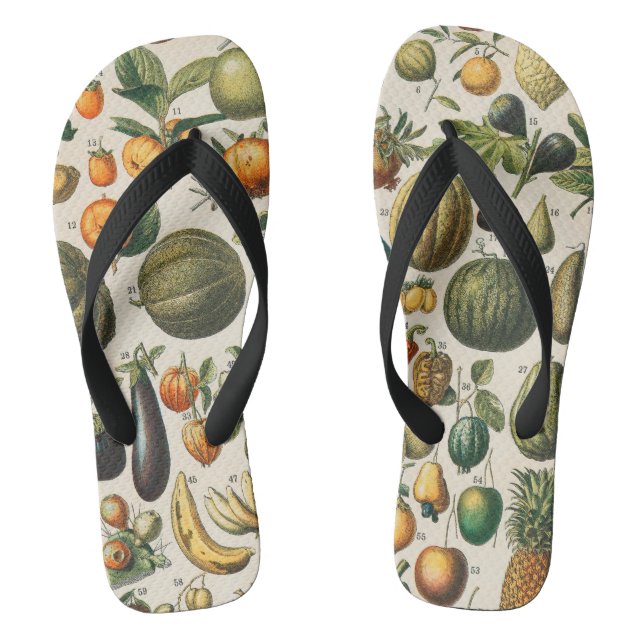 Chanclas Ilustracion científico botánico de frutas (Plantilla)