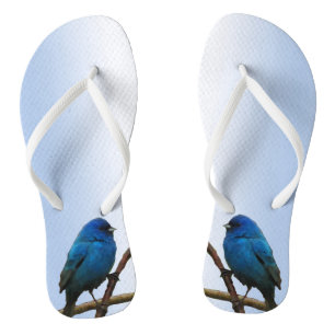 Chanclas Indigo Buntings Flip Flops