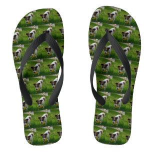 Chanclas Jack Russel Juega Tiempo,