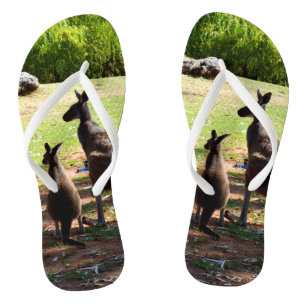 Chanclas Kangaroo Y Su Joey, Flip Flops