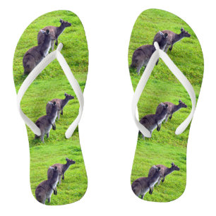 Chanclas Kangaroos de hierba verde, Flip Flops