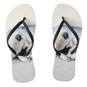 Chanclas Keeshond Sleeping Pinting Pintura Original De Perr