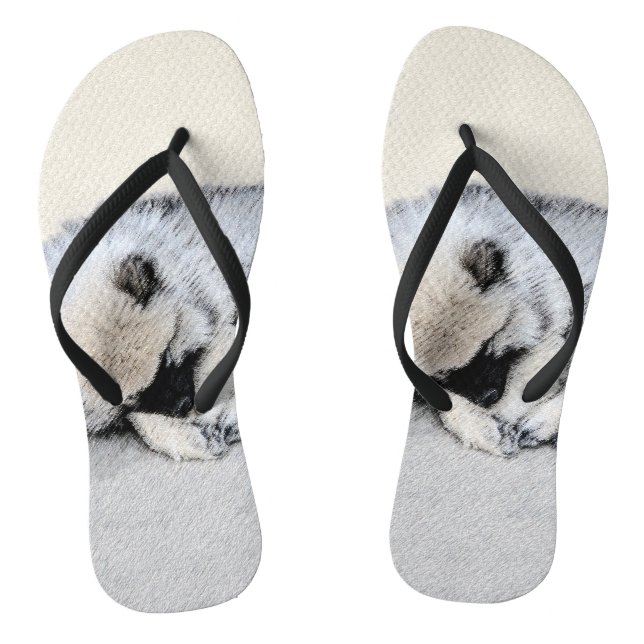 Chanclas Keeshond Sleeping Pinting Pintura Original De Perr (Plantilla)