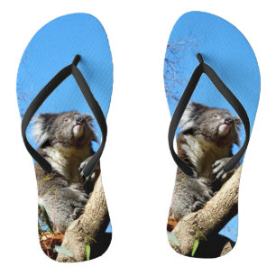 Chanclas Koala Tiene Tiempo Para Reflexionar Sobre La Vida,