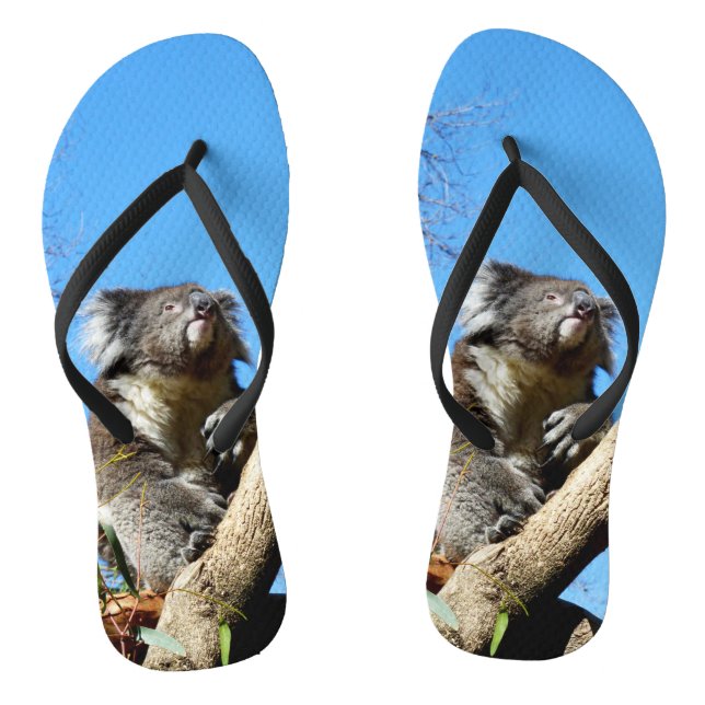 Chanclas Koala Tiene Tiempo Para Reflexionar Sobre La Vida, (Plantilla)