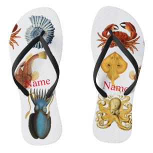 Chanclas La variedad de Bebidas marinas únicas Thunder_Cove