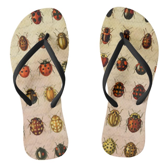 Chanclas Ladybug Ladybird Beetle Insect Bug (Plantilla)