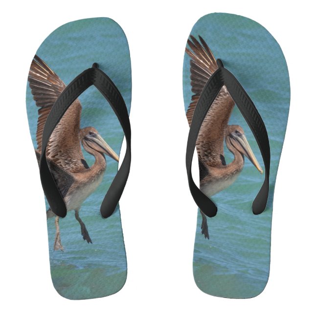 Chanclas Lanzar Pelícano (Plantilla)
