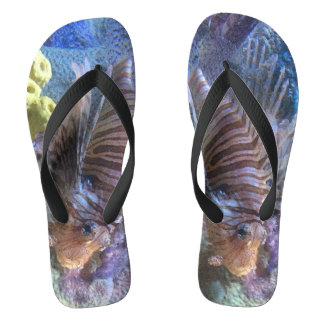 Chanclas León