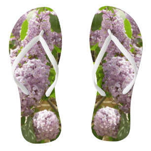 Chanclas Lilac Bush hermosas flores de primavera morada