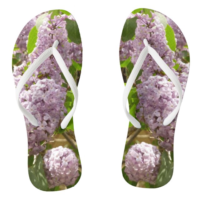 Chanclas Lilac Bush hermosas flores de primavera morada (Plantilla)