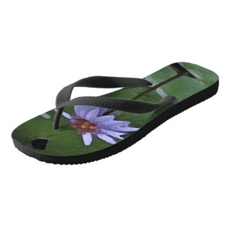 Chanclas Lirio de agua