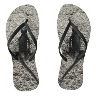 Chanclas Lizard negro