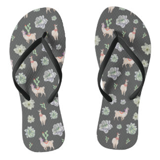 Chanclas Llamas en el desierto con cactus y amaryllis