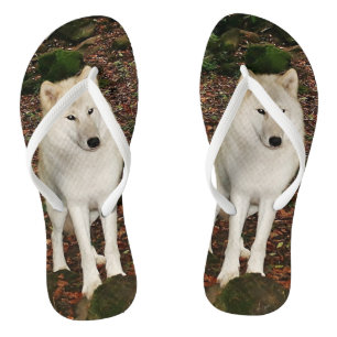 Chanclas Lobo blanco