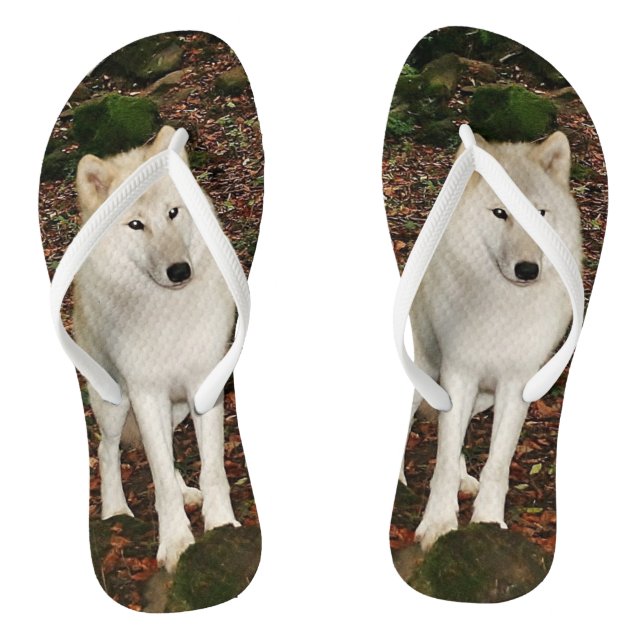 Chanclas Lobo blanco (Plantilla)