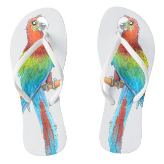 Chanclas Loro tropical del Macaw
