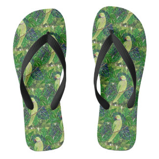 Chanclas loros