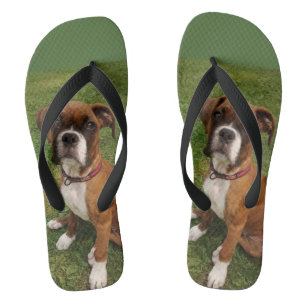 Chanclas Los flips-flopes del PERRO del BOXEADOR