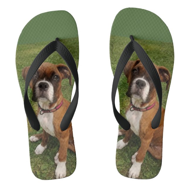 Chanclas Los flips-flopes del PERRO del BOXEADOR (Plantilla)