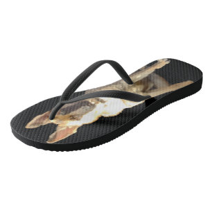 CHANCLAS LOS MAJESTUOSOS FLUJOS DE FLIP DE SHEPHERD ALEMÁN