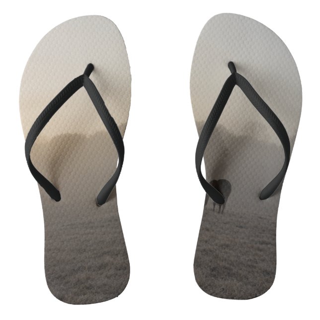 Chanclas Mañana campestre (Plantilla)