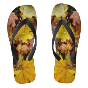 Chanclas Maple caído deja naturaleza otoño amarilla