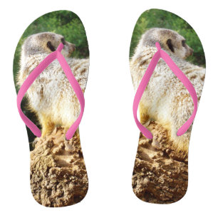 Chanclas Meerkat I Spy, Flip Flops