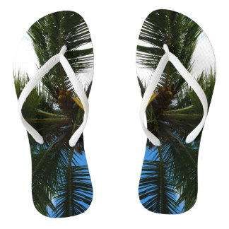 Chanclas Mirando hacia la naturaleza tropical de las palmer