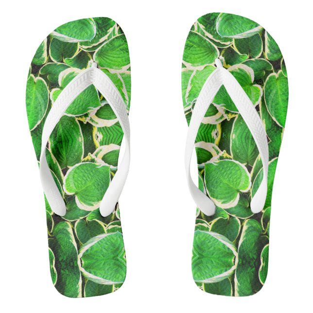 Chanclas Moda de las hojas verdes (Plantilla)