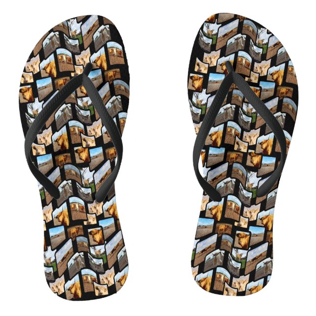 Chanclas Montaje de la vaca Highland (Plantilla)