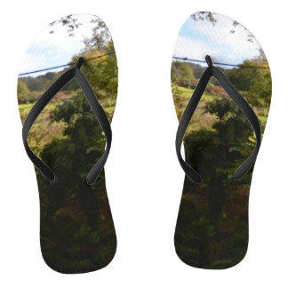 Chanclas nature way of impersonating animals