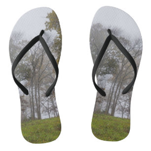 Chanclas Niebla matutina de otoño en el campo