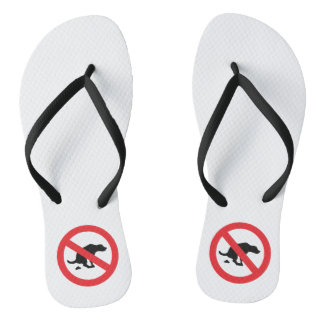 Chanclas No hay carcajadas de perro sarcástico