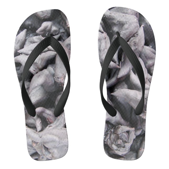 Chanclas Nueces de Búfalo - Caltrop de Agua (Plantilla)