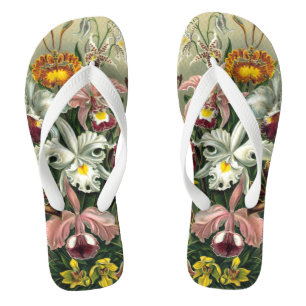 Chanclas Orquídeas de Ernst Haeckel, Flores Vintage de la S