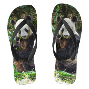 Chanclas Oso Panda 1