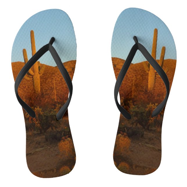 Chanclas Paisaje del desierto de Saguaro Sunset I Arizona (Plantilla)