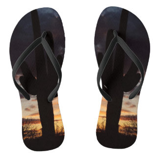 Chanclas Paisaje del desierto Saguaro Sunset III Arizona