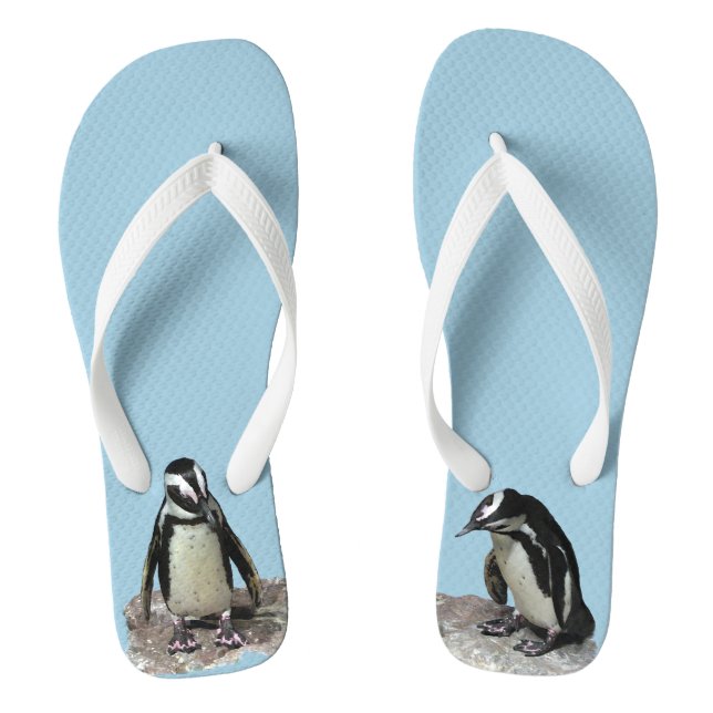 Chanclas Pájaros pingüinos Flip Flops (Plantilla)