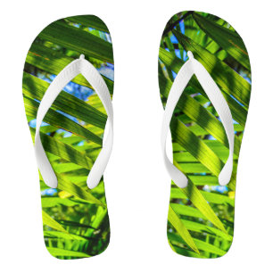 Chanclas Palm Fronds, Grove Farm, Kauai, Hawaii