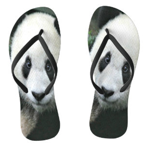 Chanclas Panda Gigante Paseando por Césped Verde