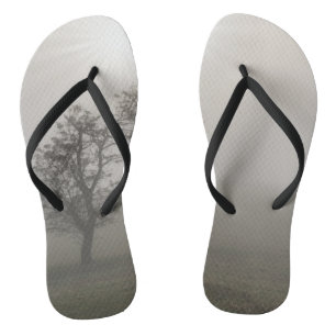 Chanclas Panorama del árbol Starburst de niebla